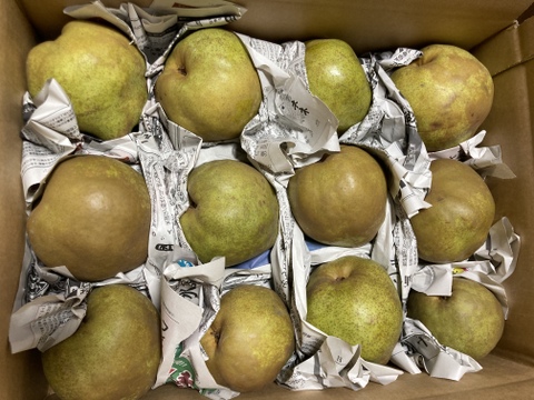 山形県産ラフランス🍐訳あり家庭用３キロ❗️