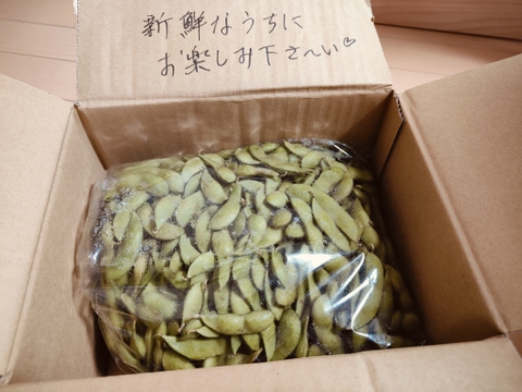 【今日発送】【希少】枝豆王国新潟から☆ブサイクなB品（1.5kg）　生産者は毎日この枝豆食べてます(^^)