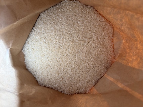 【新米 令和７年産】富山県産コシヒカリ（精米）【ご家庭用・約9.5kg】（段ボール込み10kg）