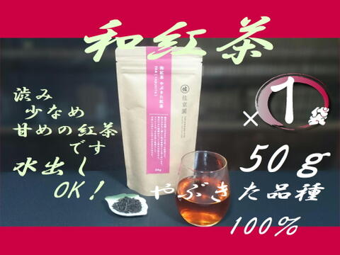 お湯はもちろん水出しも美味！【和紅茶】　やぶきた紅茶　50g 農カード付！