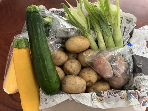 大きくて食べごたえ抜群！つやつやズッキーニ  ２kg（8本〜10本）