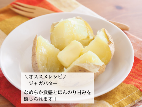 【ジャガイモ】キタアカリ２kg弱（M/Lサイズ混合お任せセット）