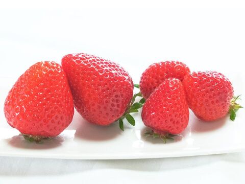 【いちごの王様！ あまおう苺 サイズ色々で270ｇ×6パック！【冬ギフト】