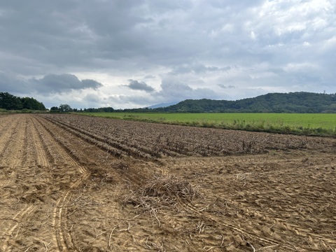 《北海道生まれ♩》きたかむいL.2Lサイズ5kg