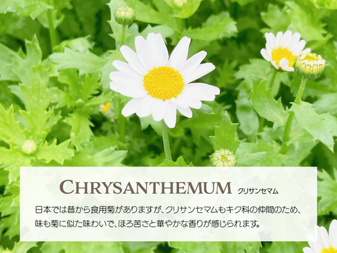 【詰め合わせ】エディブルフラワー・化学肥料/農薬不使用の安心して食べられるお花　30輪