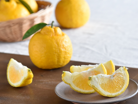 酸味が少なくまろやかな甘み　三宝柑【家庭用(訳あり)】[2.5kg]　321-2h