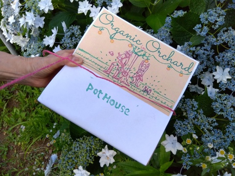 【福袋2025】【贈答用】【特秀品】【秀品】【夏ギフト】”朝積みブルーベリー1kgと煮え立てブルーベリージャム1瓶”　農薬・肥料・除草剤不使用