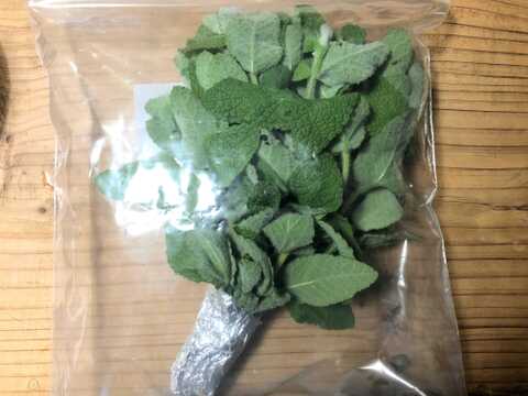 ※セール【農薬・化学肥料不使用栽培】青森県産　お庭育ちのスペアミント 150g（クール便発送）