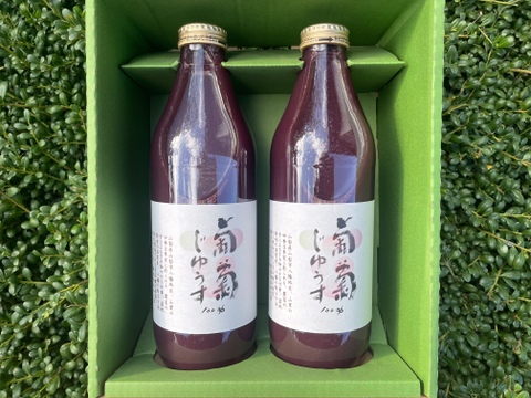 【冬ギフト】黒系の濃厚な甘み！ぶどうジュース2本