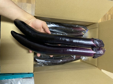 ながーくて、うまーーい!(^^)!庄屋大長なす20本