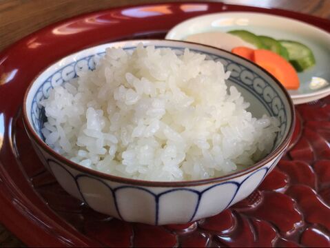 R5産 特別栽培米コシヒカリ 白米 5kg