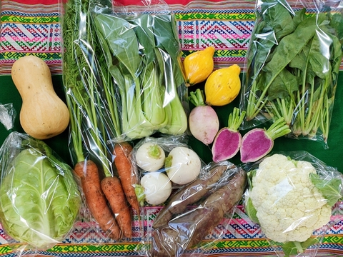 お楽しみ★農園自慢の情熱野菜セット　7袋　発送タイミングおまかせ　フードロス対策　パチャママ農園