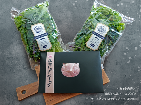 山桜いぶしベーコン200gとケールとレタスのサラダセット80gx2袋