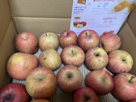 ジュース用・加工用りんご（冬りんご） お得にたっぷり使える！ 10kg