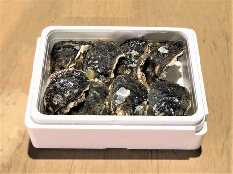 【 牡蠣 好き必見】糸島サウンドSサイズ 岩牡蠣　8個　生食可