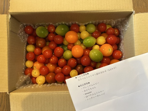 美味しいよ！カラフルミニトマト詰め合わせ（1.5キロ）：長野県産の