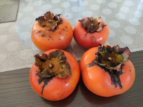 ✨規格外品！【甘柿（富有柿）】1.1kg（10～14玉）　農薬肥料不使用の自然栽培（お試しサイズ）✨