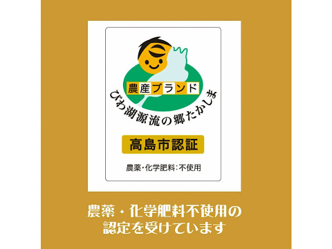 【農薬・化学肥料不使用】滋賀県産にんにく　500g（約8〜10個）