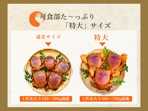 【特大サイズ】アサヒガニ　1kg ｜迫力満点＆濃厚味噌！宮崎直送