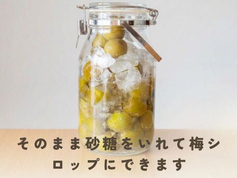 2026年収穫分】京都青谷産 冷凍青梅 約1kg 青梅 少々斑点傷あり