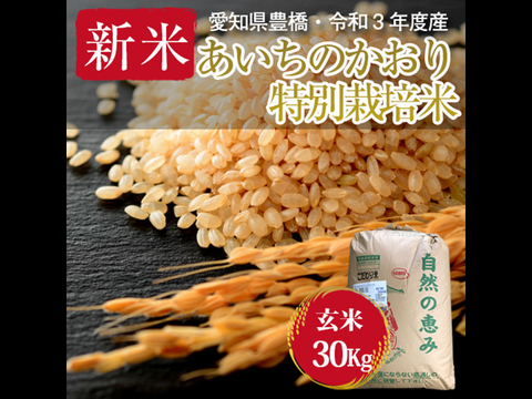 【栽培期間中農薬不使用・一等米】あいちのかおり 玄米30kg(10㎏×3袋)【新米・令和3年・愛知県産】