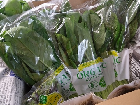 【有機JAS認証】小松菜　900g(150g×6パック)