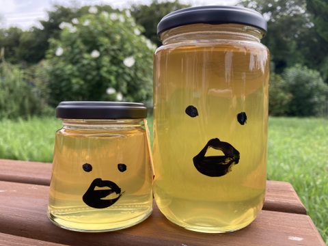 柿のハチミツさん　160g