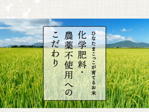 【お試し新発売！！】最高のたまごかけご飯の誕生♪♪「もみじたまごＭ10個」と【令和7年度新米】「サン・ファーム米（玄米2kg）」【通年常温便】★化学肥料及び農薬：栽培期間中不使用