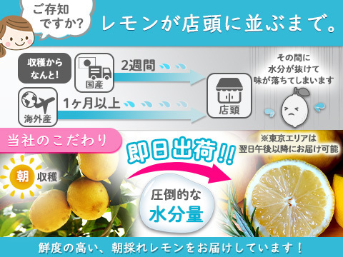 朝採れ栽培期間中農薬不使用　瀬戸内レモン4.7キロ