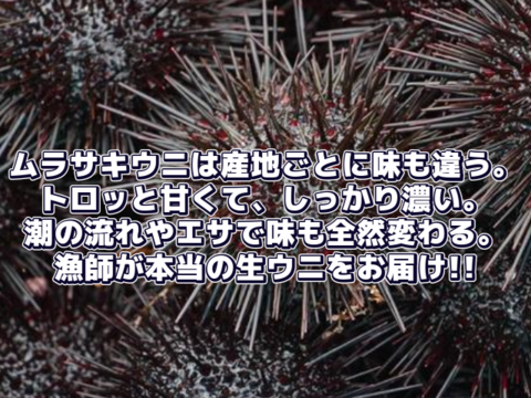 【１日１名様限定】無垢雲丹～MUKU～　　１パック