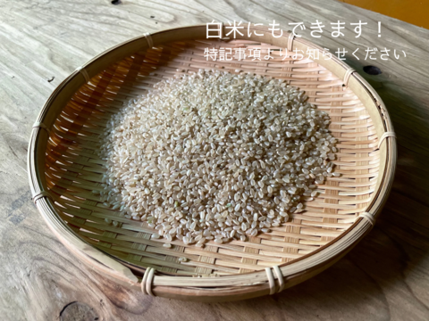 山のミネラルたっぷり！ソノちゃんのこだわり野菜とお米のセット5〜6品種