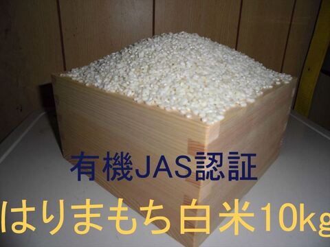 有機JAS認証【農薬不使用「はりまもち」白米10kg】甘くてよく伸びるもち米 2025年兵庫県産「タガメの里・自然米」