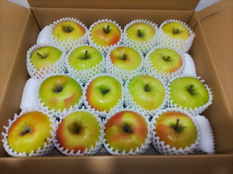 【販売開始！】青森県産りんご「ぐんま名月」家庭用 キズ有 約5kg 【光センサー選果・高リピート率】