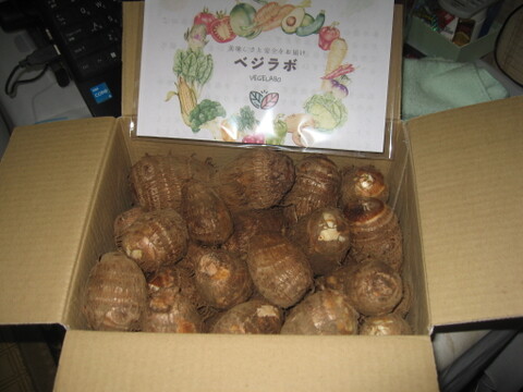 （Ｓ~２Ｌ）独特のぬめりとねばり！！さといもＳ~２Ｌサイズいろいろアソート（３Ｋｇ）