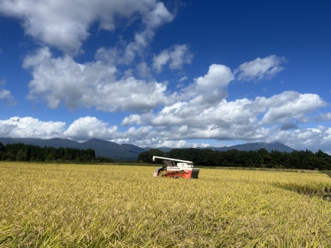 2024年産米　ひとめぼれ　精白米１０ｋｇ　岩手県『虹の似あうまち』雫石町からお届けします。