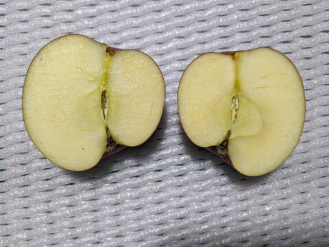 リンゴ加工原料