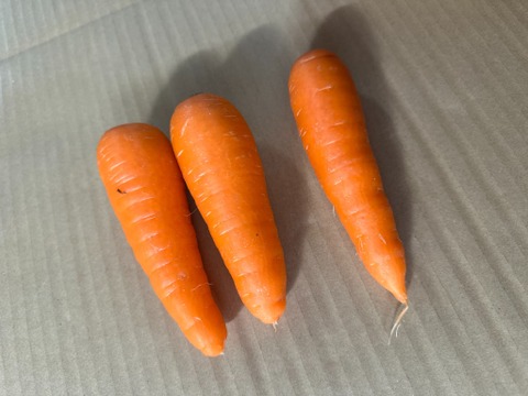 かわいい人参。（水洗い品）大容量１０kg