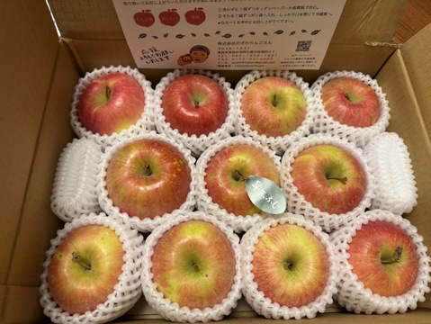 【人気品種】🍎早生ふじ約3キロ🍎8〜12玉《家庭用》ID284719