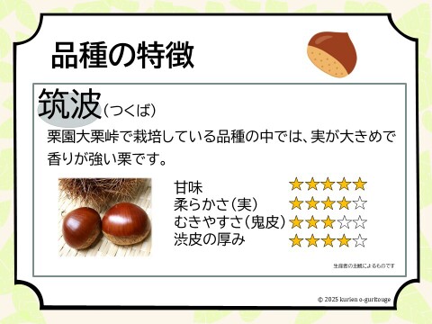 丹波くり 晩生 「筑波」 希少4Lサイズ 約1kg（本州のみ）④：京都府産