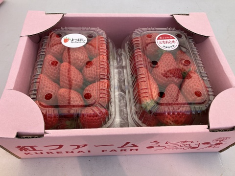 【食べ比べ】4品種セット箱