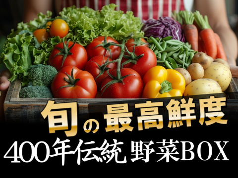 🎊TBS大泉サンド出演記念キャンペーン🎊多くの声により遂に解禁！寛永鶴見ブランドオールスター野菜BOXお得な詰め合わせセット！高級志向のあなたへ贈る特別な野菜ボックスお試し約1kg