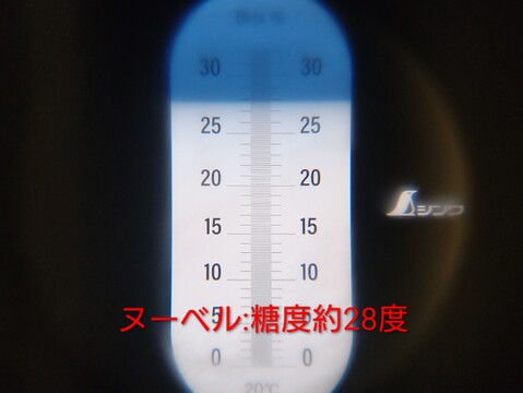 【ヌーベルローズ3房/750g以上】