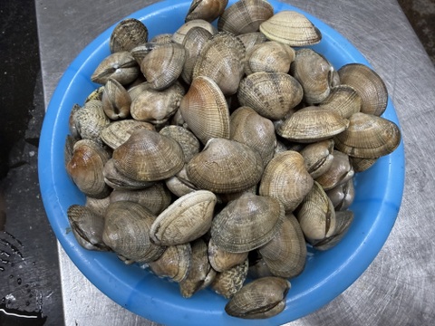 【ゲン担ぎ福袋】【福袋】ワイズユースの湿地の恵みセット①北海道根室市温根沼産カキ（2L：10個）・豆アサリ1キロ