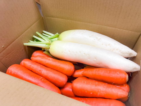 【ゲン担ぎ福袋】秋どれだいこんと香るにんじんの紅白セット｜大根3本&人参3kgセット