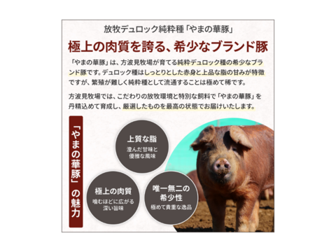 「放牧豚・デュロック純粋種」やまの華豚 手切りウデベーコン（冷凍・100g×5Pセット）