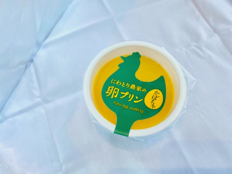 かぼちゃプリン満喫セット(6個)