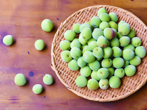 【6月上旬お届け予定】南高梅 3kg 2Lサイズ以上（約3.3~3.7cm） 1400-2l