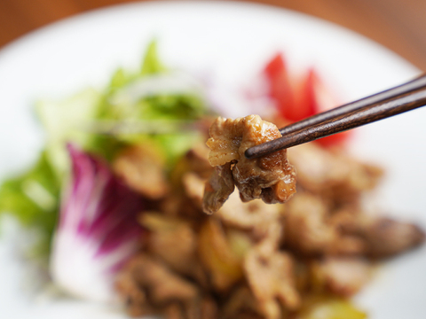 【自社牧場にて厳選！】国産ブランドポーク「だいじょ豚」 切り落とし800g｜豚 ぶた ポーク 焼肉 BBQ アウトドア キャンプ 国産 国産豚 ブランド豚