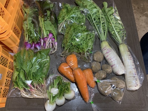 【自然栽培】会津伝統野菜含む5~8品目旬のお野菜セットLサイズ