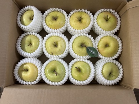 🍏【トキ】🍏約３キロ9～11玉《家庭用》ID162925